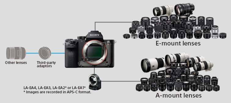 Especificaciones de ILCE-7RM2 | Cámaras digitales | Sony Spain